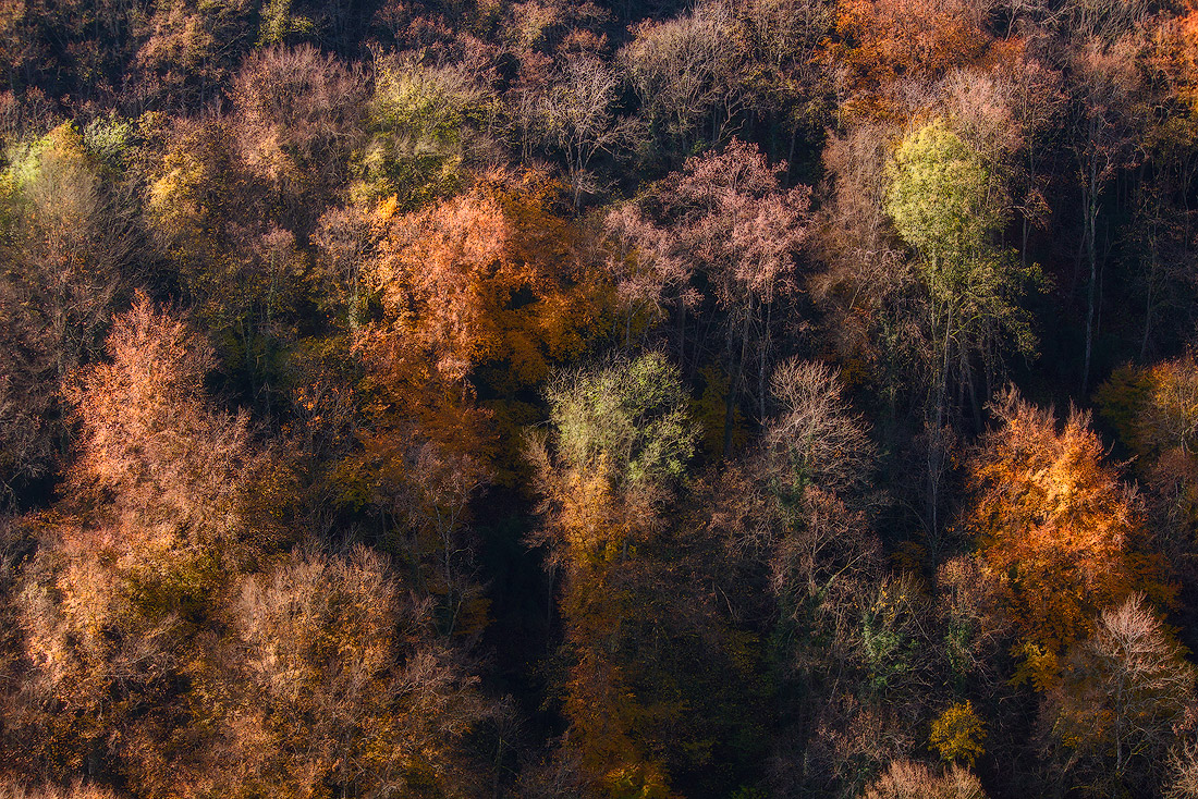 Lost face. Combe Lavaux
