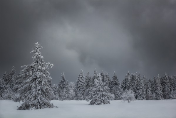 Coldworld. Vosges