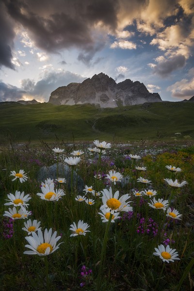 Tribute to giants. Vanoise