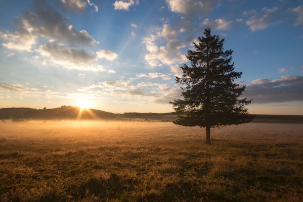 Sunrise on fir. Vers le Lac de Bourdouze